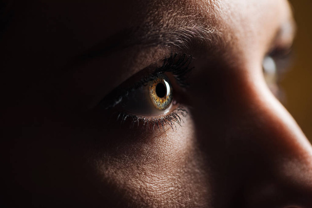 close up view of adult woman eye with eyelashes and eyebrow looking away in dark - Photo, Image