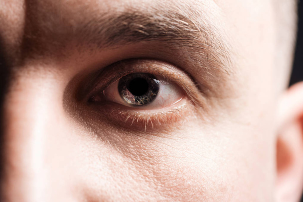 Close-up weergave van volwassen man oog met wimpers en wenkbrauw kijken naar camera - Foto, afbeelding