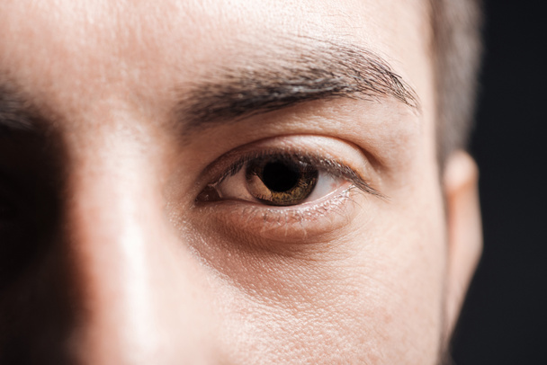 vista de cerca del hombre adulto ojo marrón con pestañas y cejas mirando a la cámara aislada en negro
 - Foto, Imagen