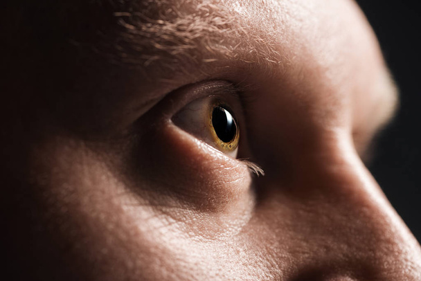 close up view of mature man eye with eyelashes and eyebrow looking away - Foto, Imagem