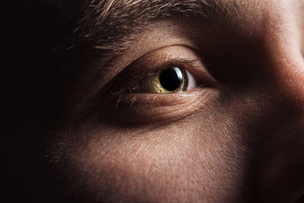 close up view of adult man eye looking away in darkness - Photo, Image