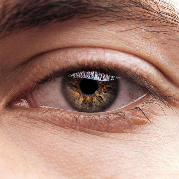 close up view of human colorful eye with eyelashes - Photo, Image