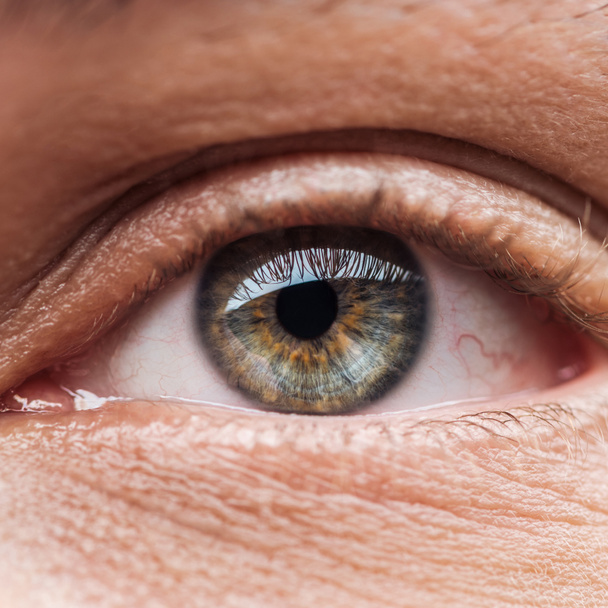 close up view of human colorful eye with eyelashes - Foto, Imagem