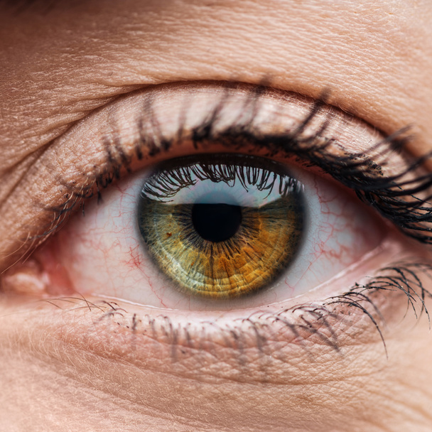 close up view of human brown and green colorful eye with eyelashes - Photo, Image