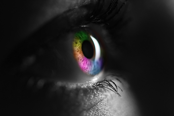 明るい虹色の目を持つ人間の黒と白のショット - 写真・画像