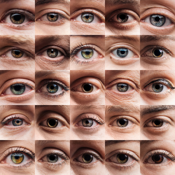 collage con hermosos ojos humanos de diferentes colores
  - Foto, Imagen