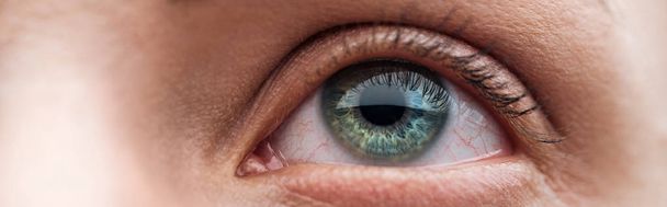 close up view of human clear green eye looking away, panoramic shot - Photo, Image