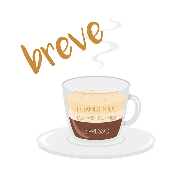 Ilustração vetorial de um ícone de xícara de café Breve com sua preparação e proporções
. - Vetor, Imagem