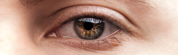 vista de cerca del ojo humano, plano panorámico
 - Foto, Imagen