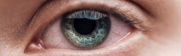 vista de cerca del ojo verde humano mirando a la cámara, plano panorámico
 - Foto, Imagen