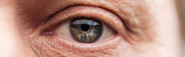 close up view of human eye with wrinkles around looking at camera, panoramic shot - Photo, Image