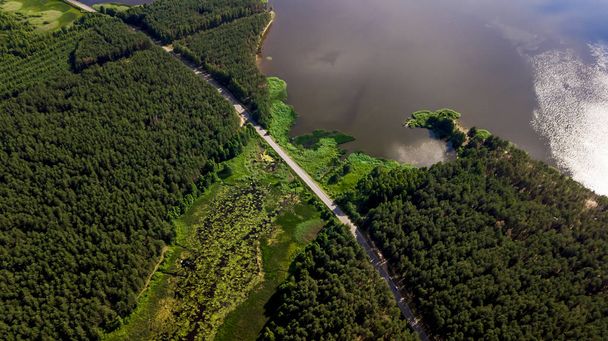forest lake aerial photography with dron - Foto, Imagem