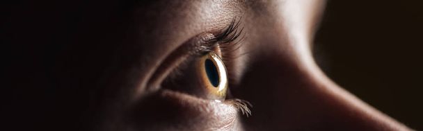 Close-up van het menselijk oog in duisternis, panoramische foto - Foto, afbeelding