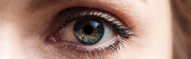 Nahaufnahme des menschlichen blauen Auges beim Anblick der Kamera, Panoramaaufnahme - Foto, Bild