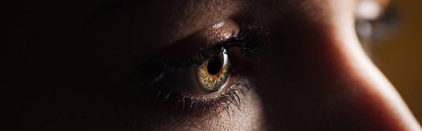 vista de cerca del ojo humano en un plano oscuro y panorámico
 - Foto, Imagen