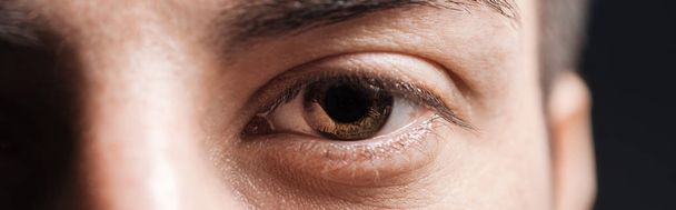 vista de cerca del ojo marrón humano mirando a la cámara, plano panorámico
 - Foto, Imagen
