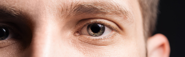 close up view of human grey eyes looking at camera, panoramic shot - Photo, Image