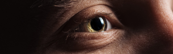close up view of human eye looking away in dark, panoramic shot - Photo, Image
