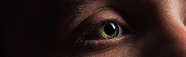 close up view of human green eye looking away in dark, panoramic shot - Foto, Imagem