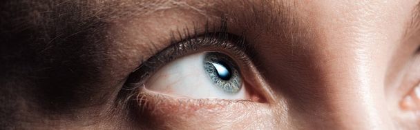 close up view of human grey eye looking away, panoramic shot - Photo, Image