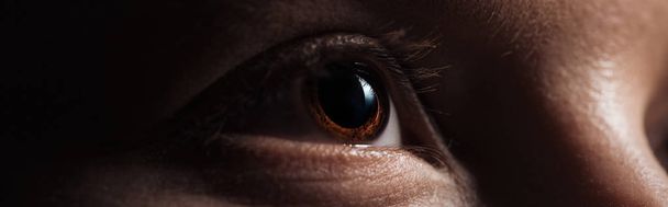 vista de cerca del ojo marrón humano mirando hacia otro lado en un plano oscuro y panorámico
 - Foto, Imagen