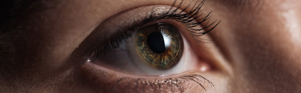 vista de cerca del ojo verde humano mirando hacia otro lado en un plano oscuro y panorámico
 - Foto, Imagen