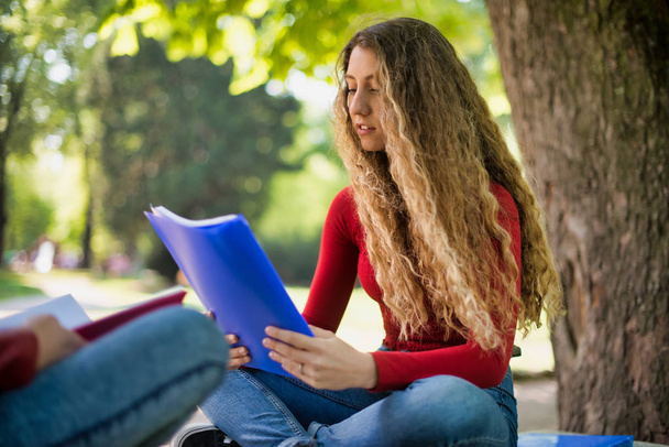 Teenager female student reading book in the school park - 写真・画像