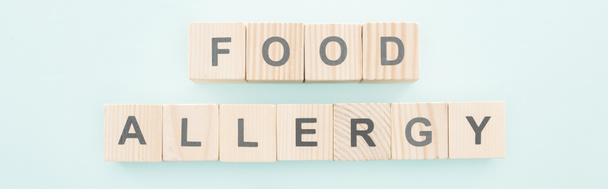 panoramic shot of wooden blocks with words food allergy on blue - Foto, afbeelding