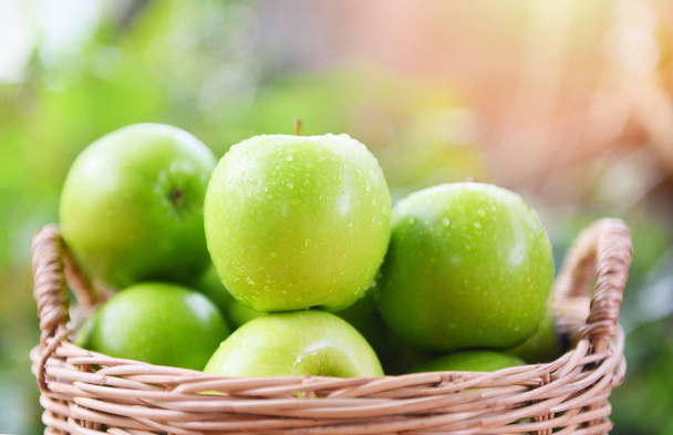 Groene appels-oogst verse appel in de mand Verzamel fruit i - Foto, afbeelding