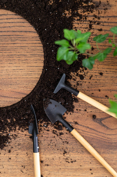Set attrezzi da giardinaggio con brunch verde e terra nera su legno
 - Foto, immagini