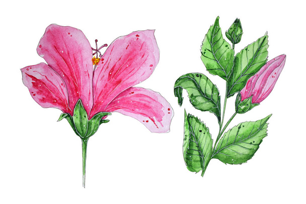 Handgeschilderde aquarel tropische bloemen - Foto, afbeelding