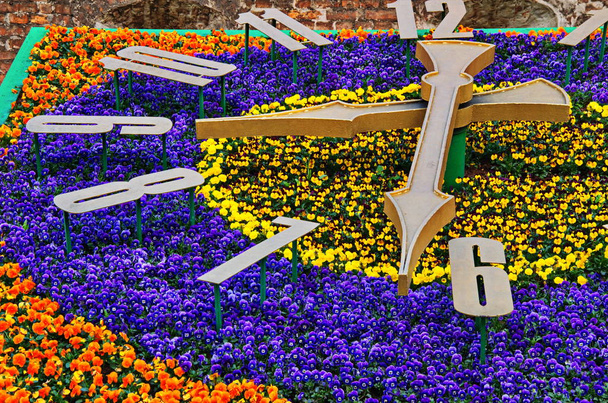 Flower clock in the big city. - Photo, Image