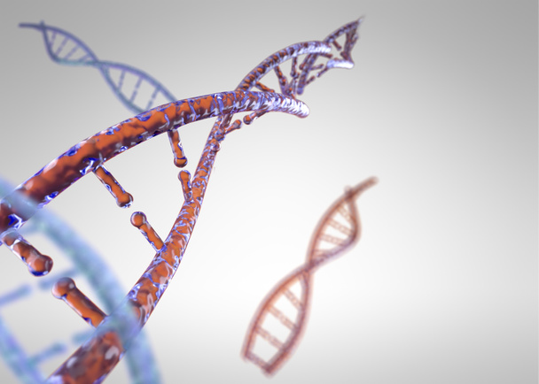 3D μοντέλο DNA. 3D απόδοση κληρονομικότητας. 3D μόριο εικόνας DNK. - Φωτογραφία, εικόνα