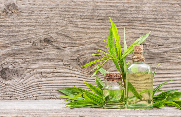 Eucalyptus herbal massage oil in bottle wooden background - Fotoğraf, Görsel