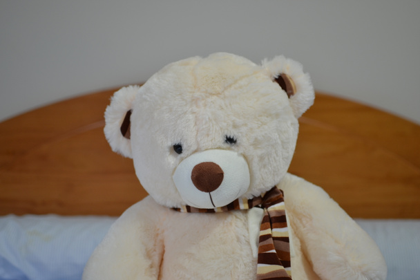 schöner weißer Teddybär mit einem braun gestreiften Schal - Foto, Bild
