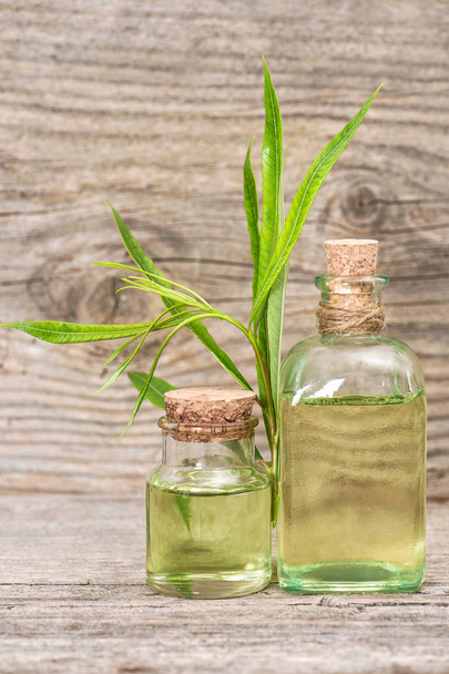 Eucalyptus oil essence in bottle wooden background - Foto, Bild