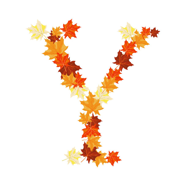 Autumn Maples Leaves Letter - Vector, Image