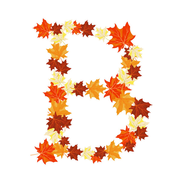 秋のカエデの葉の手紙 - ベクター画像