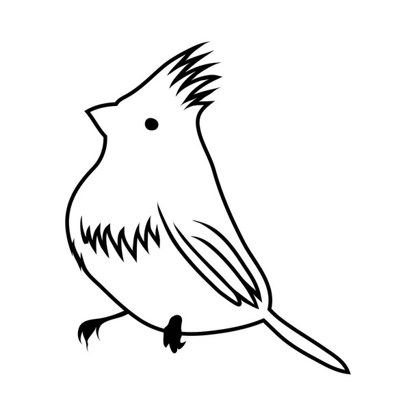 schets van vogels - Vector, afbeelding