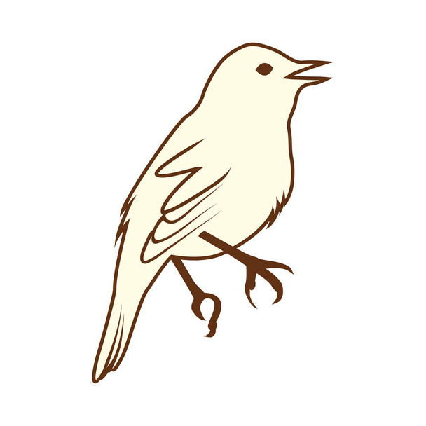 schets van vogels - Vector, afbeelding