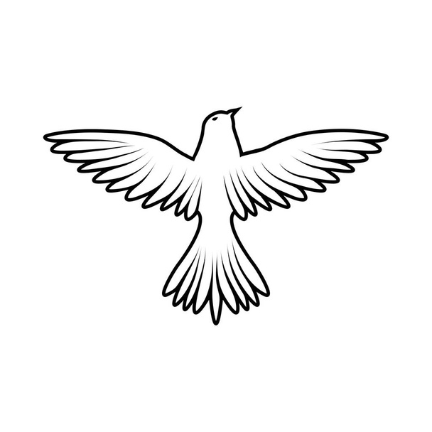 boceto de pájaro
 - Vector, imagen