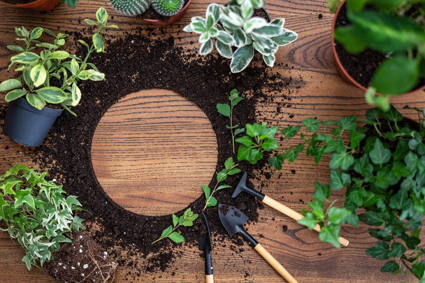 Інструменти для садівництва з зеленим розгалуженням рослин і чорною землею
  - Фото, зображення