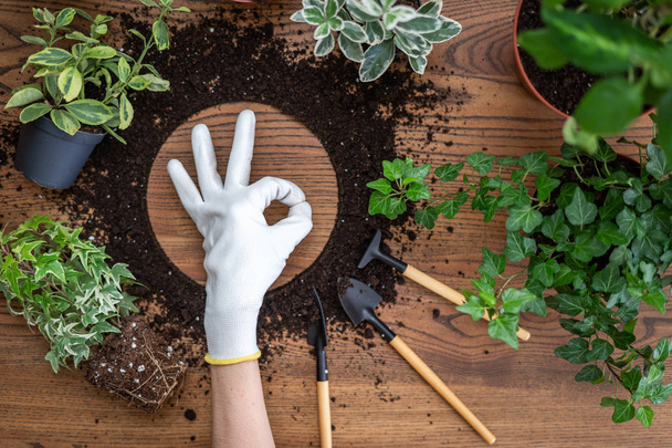 Mulher mão mostrando ok sinal sobre ferramentas de jardinagem com brunc verde
 - Foto, Imagem