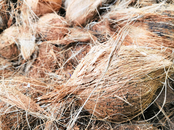 Mooie kokosnoot in de markt - Foto, afbeelding