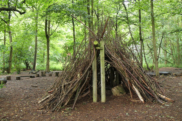 Twigs ve Günlükleri ile Yapılan Bir Doğal Ormanlık Barınak. - Fotoğraf, Görsel