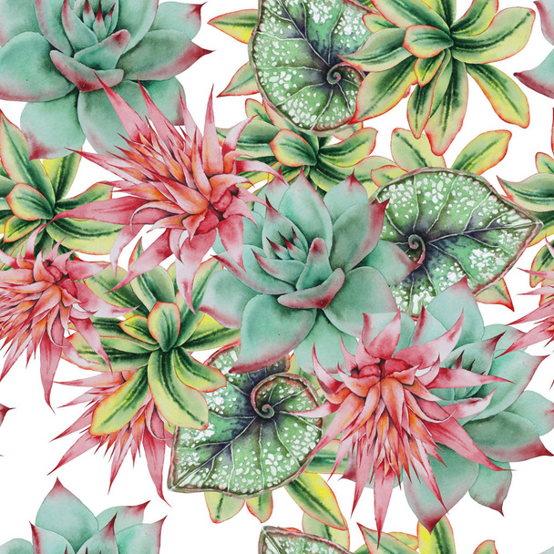 Bright seamless pattern with leaves and succulents. Watercolor illustration. - Фото, зображення