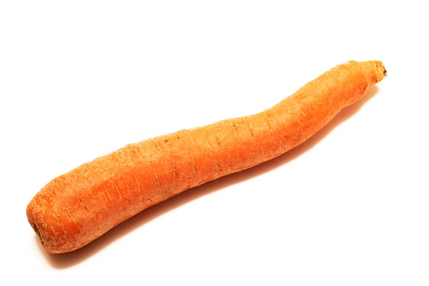 One fresh carrot closeup isolated on white background - Photo, Image