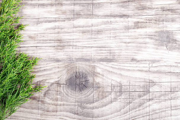 Green juniper twig on old gray wooden board. - Fotó, kép