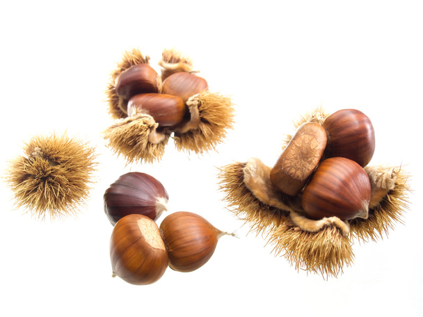 Sweet chestnuts - Photo, Image