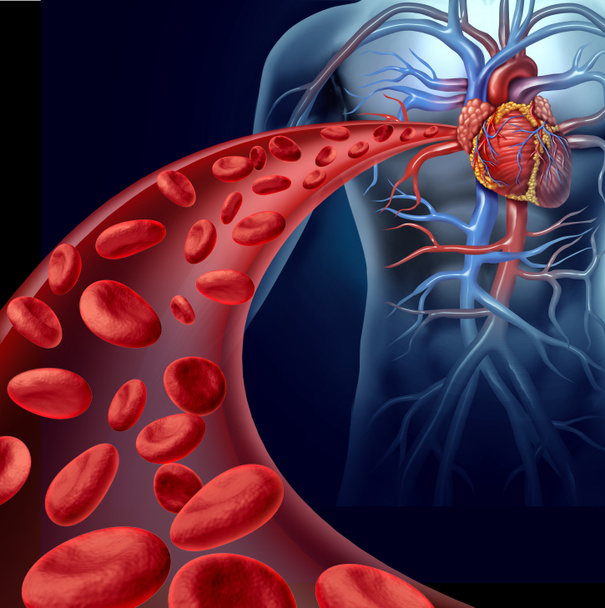 Heart Blood Health - Foto, immagini